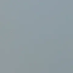 Staal 22135